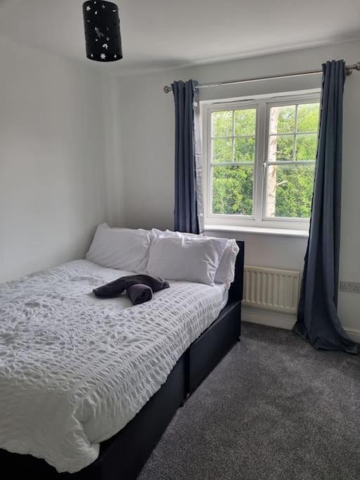 Maidstone Villa 3 Bedroom Free Sports Channels,Parking Sleeps 7 المظهر الخارجي الصورة